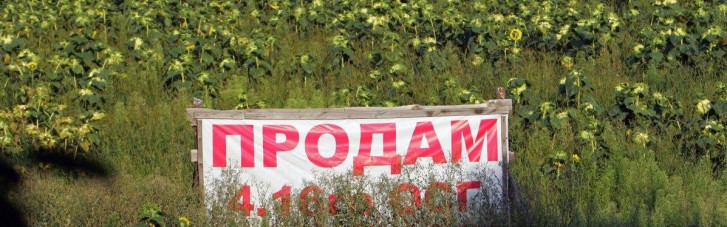 Рынок земли в Украине. Кто и как сможет продавать и покупать гектары с 1 июля