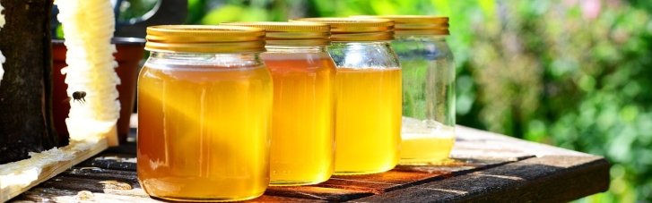 Болгарія просить Єврокомісію ввести обмеження на український мед: на черзі - яйця
