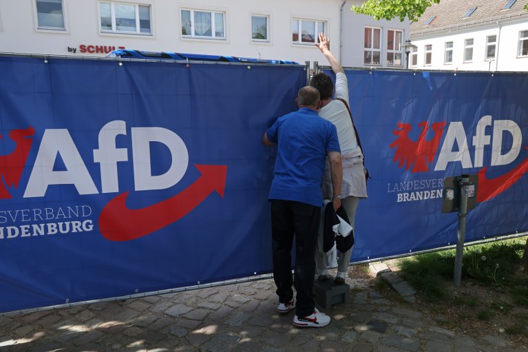 В Германии поставили на паузу признание ультраправой партии AfD как экстремистской